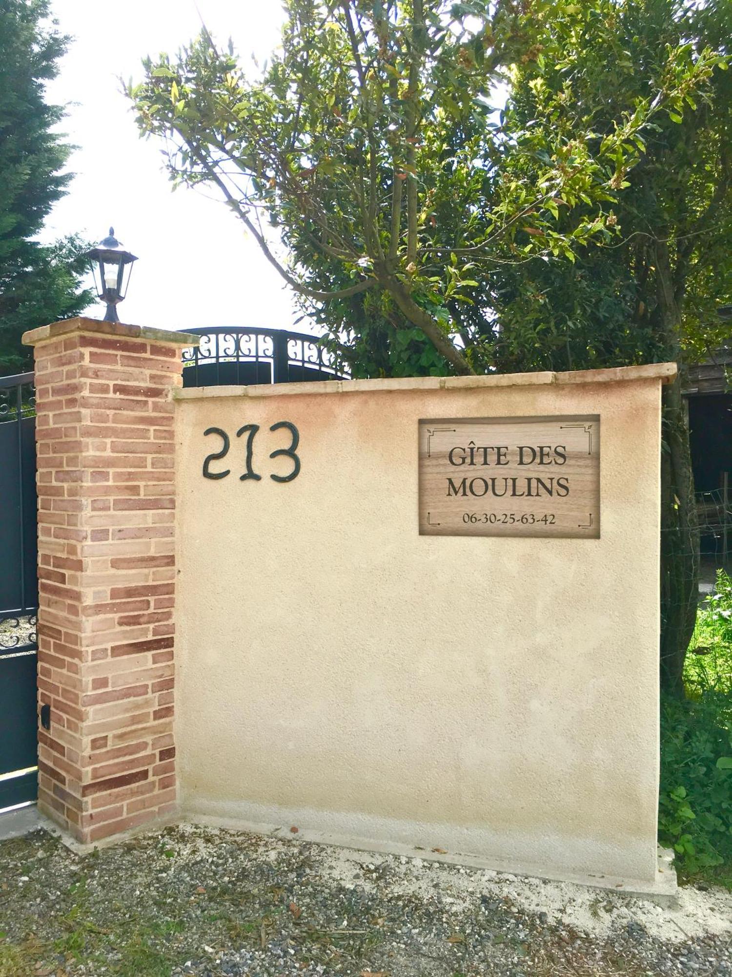 Gite Des Moulins Castelnau-dʼEstrétefonds Екстериор снимка